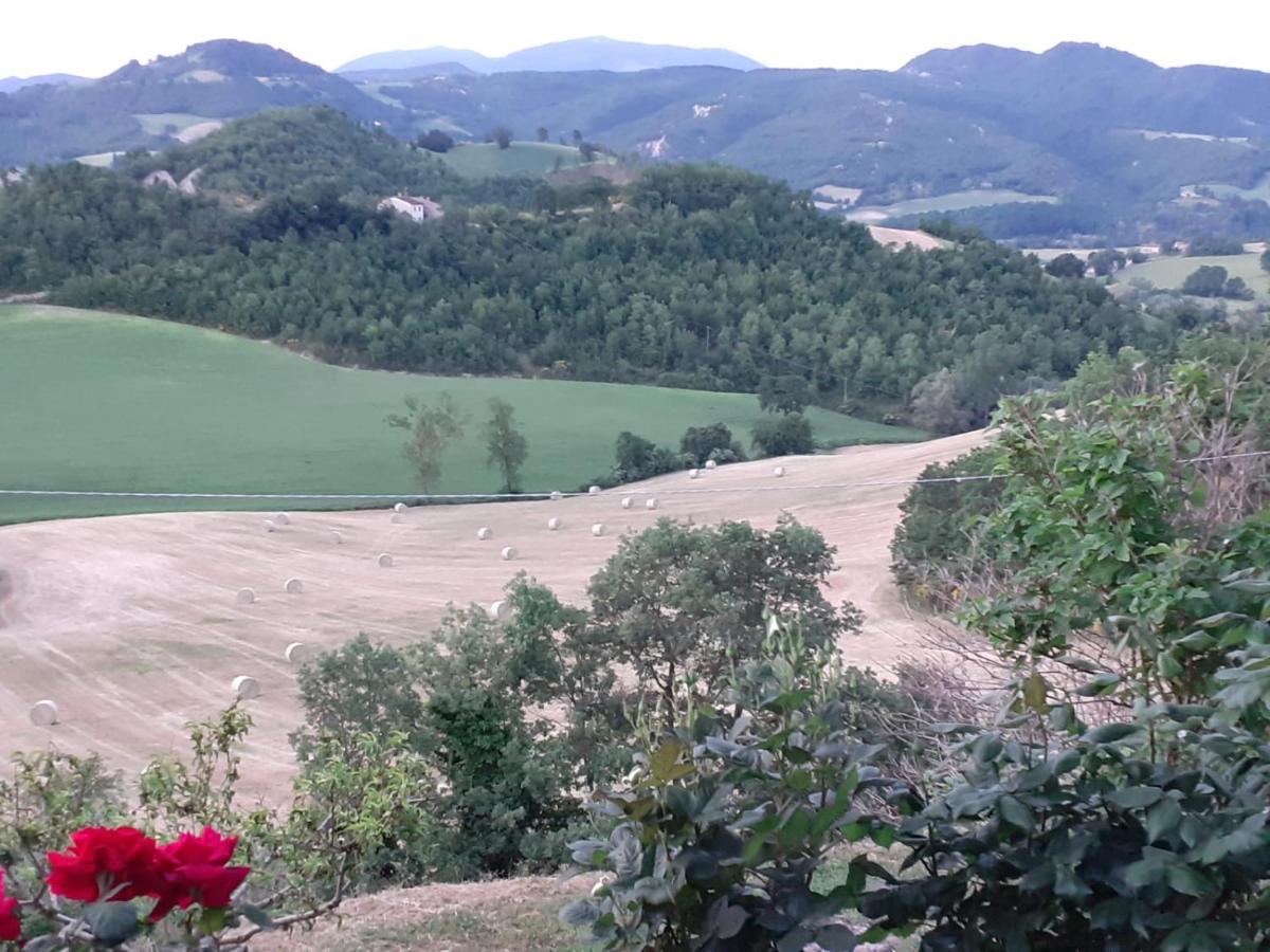 Ca' Gulino - Urbino - Villa Con Minipiscina In Borgo Antico Kültér fotó
