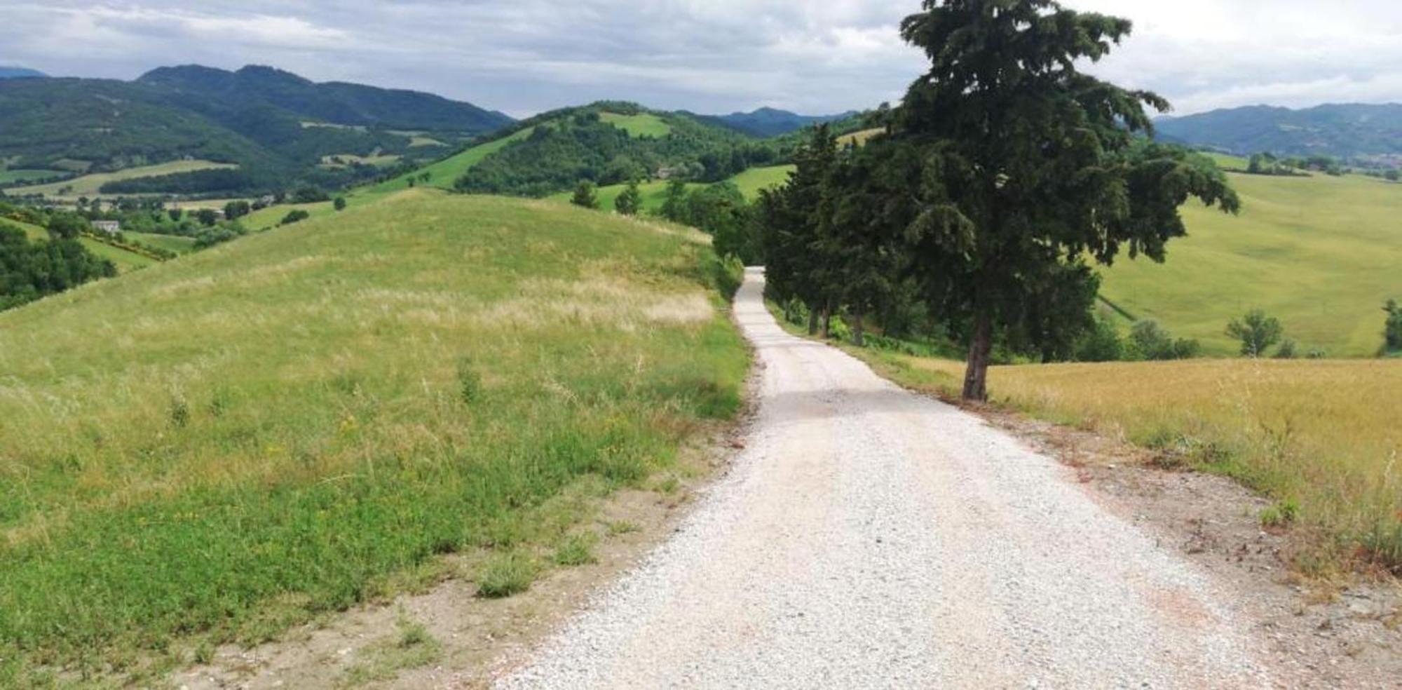 Ca' Gulino - Urbino - Villa Con Minipiscina In Borgo Antico Kültér fotó