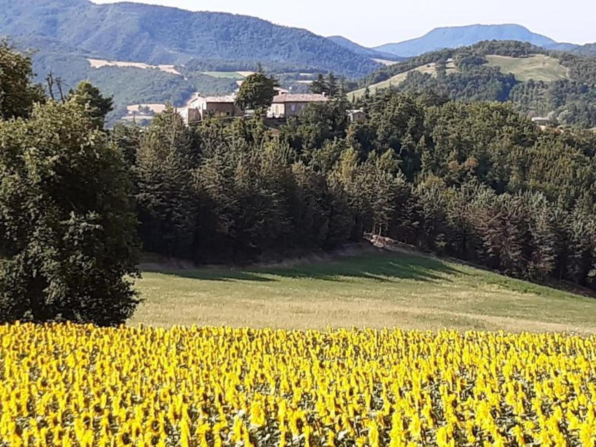 Ca' Gulino - Urbino - Villa Con Minipiscina In Borgo Antico Kültér fotó