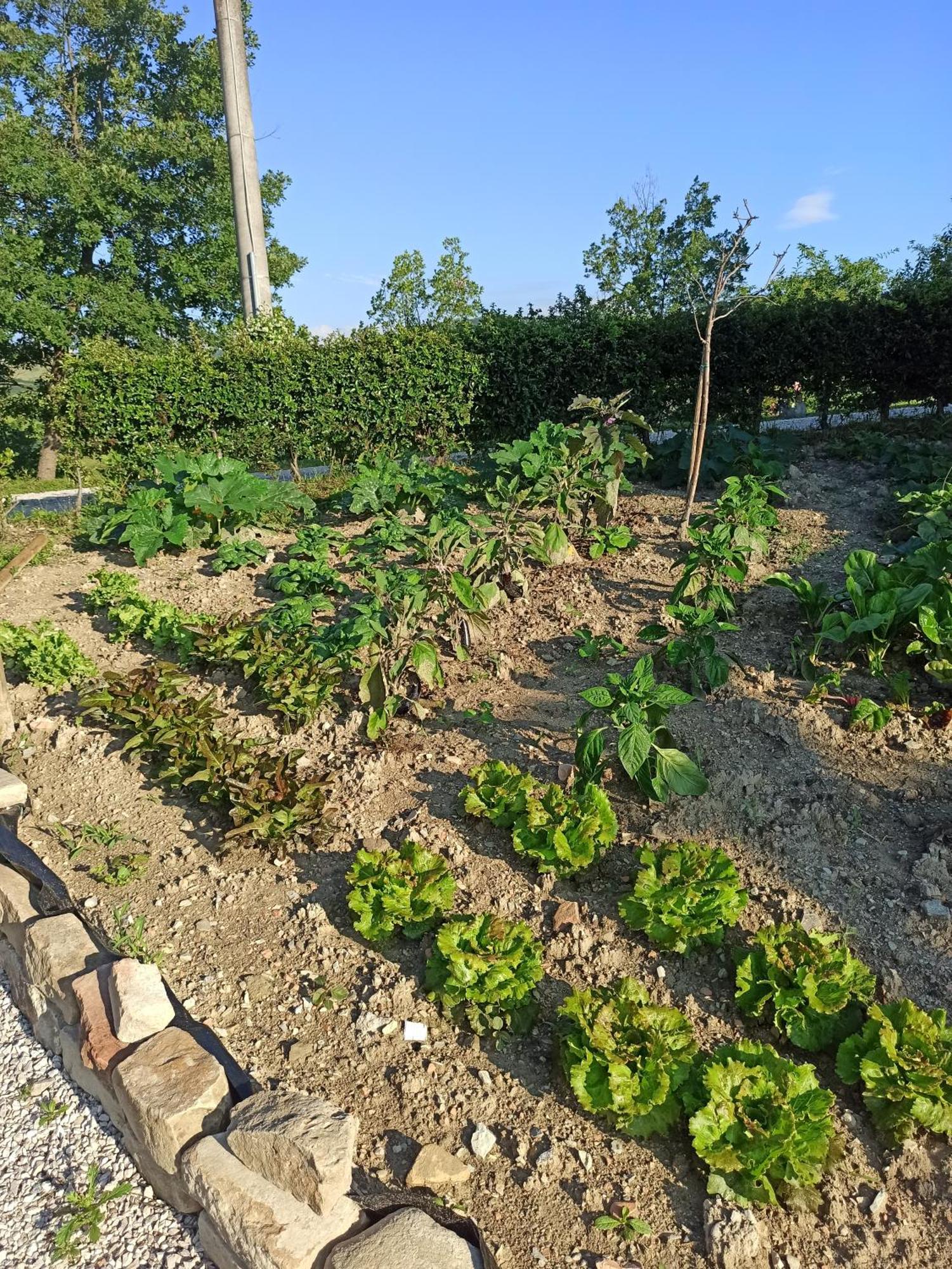 Ca' Gulino - Urbino - Villa Con Minipiscina In Borgo Antico Kültér fotó